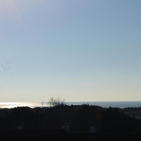 Berck Vue Mer מראה חיצוני תמונה