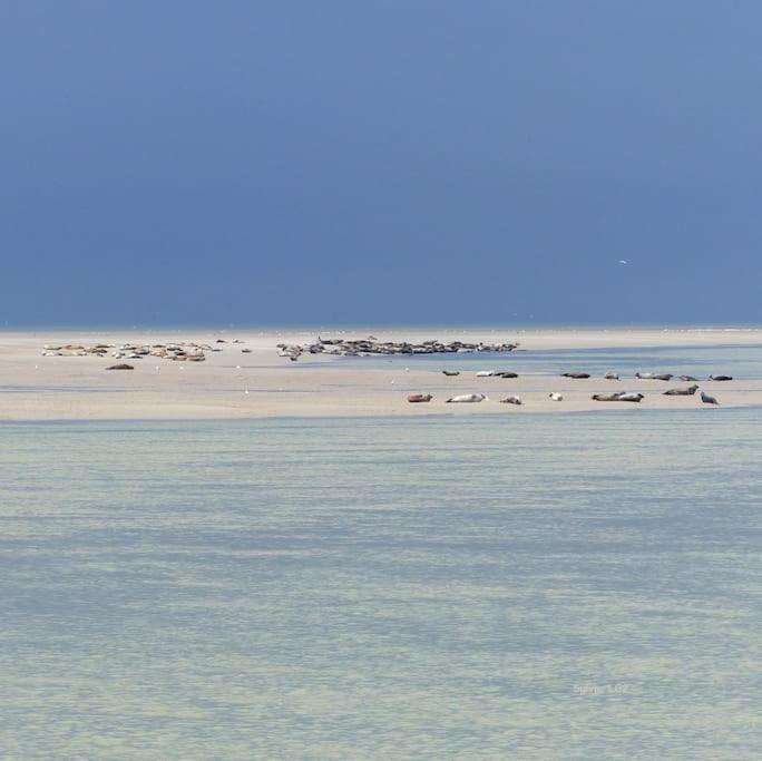 Berck Vue Mer מראה חיצוני תמונה
